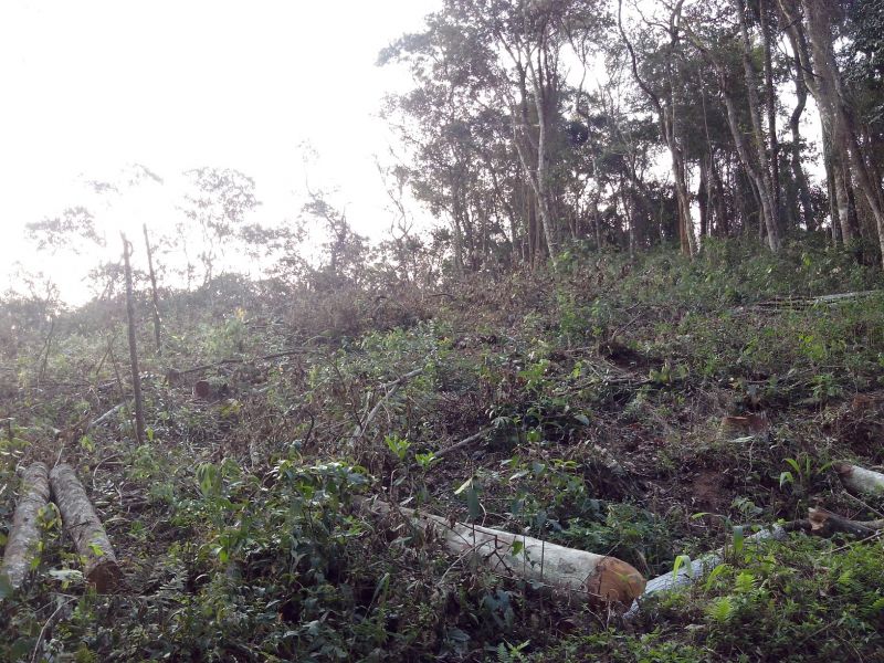 Chácara em Cajamar / Ponunduva: Entrada + Parcelas