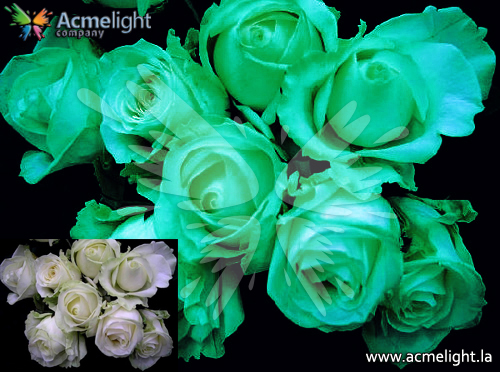 Sea representante de empresa Europea Acmelight Company  