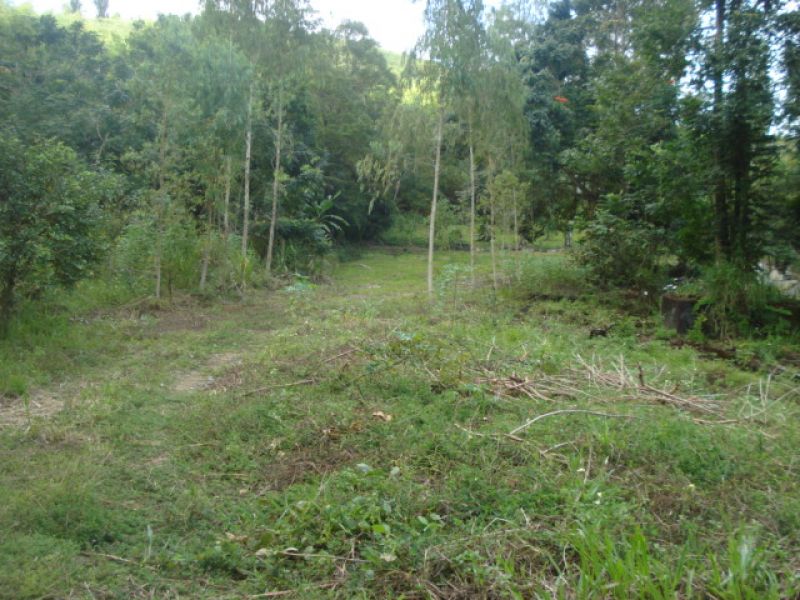 Área para seu projeto empresarial