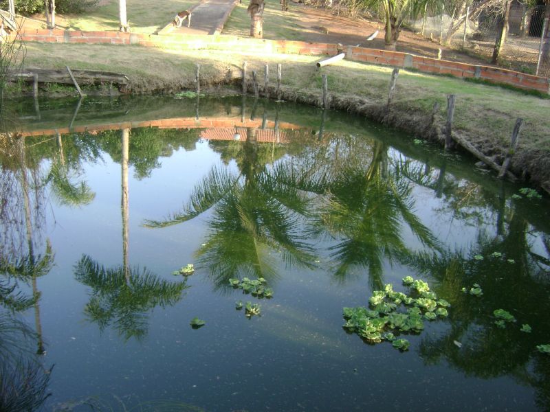 AGI 540, Chacara em Cerquilho, escriturada, tranquilidade, conforto 