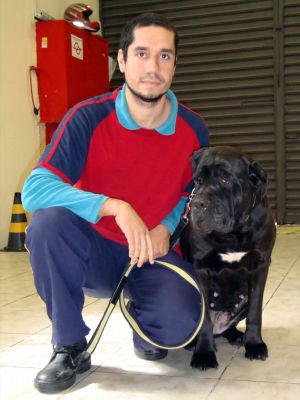 ADESTRAMENTO DE CÃES-DOG COACH