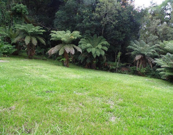 Casa Rústica no Alpes