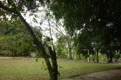 sitio a venda 330 mil