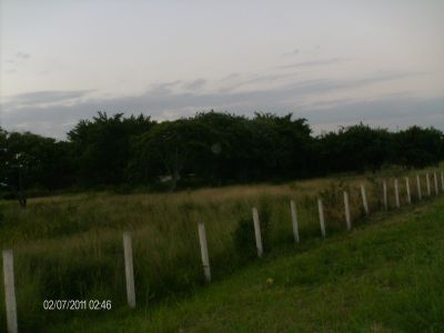 Área de 88.828 m² na Tapera - Boa para Empreend. Imobiliários Diversos.