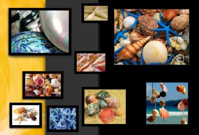 CONCHAS DO MAR , ESTRELAS , ARTESANATOS , BIJUTERIAS , ETC...