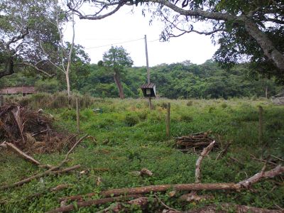 FAZENDA EM CURVELO -145 HA.