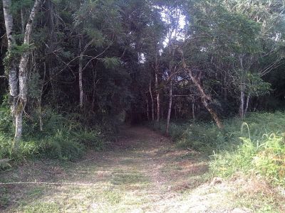 Chacara com treze alqueires ótima para reflorestamento.