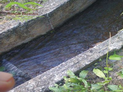 FAZENDA EM CURVELO - 5.000 HA.
