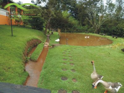 Ótima chácara com água corrente em igarapé 