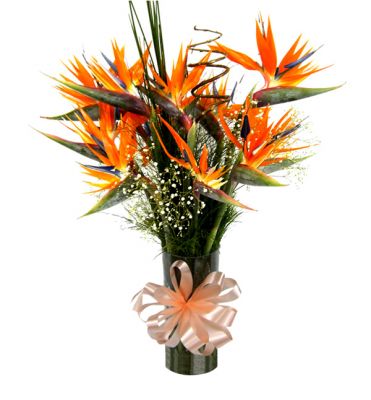 Empresas Belgo, Fiat, Ge, Toshiba, Magnetti Marelli entrega de flores e cestas  (31) 3024-1113  