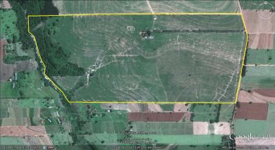 Sítio de 35 Alqueires a 10 Km de Nova Esperança