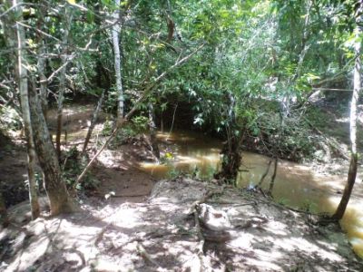 Fazenda na Zona Rural de Názario-GO cod.24