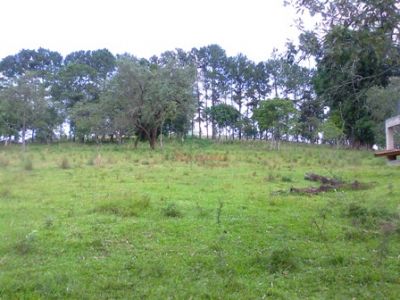 Sítio 30.000m² a venda em Juquitiba ideal para criação apenas 250mil cod 319