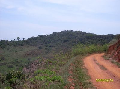 Vendo/troco fazenda e terreno em Itambé do Mato Dentro -Particular 