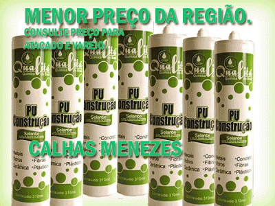 silicone poliuretano