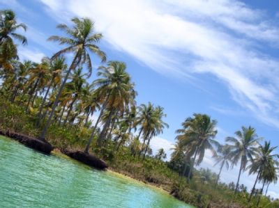 FAZENDA DE COQUEIROS A VENDA EM SERGIPE