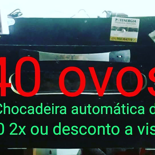 Chocadeira 40 ovos automática digital 