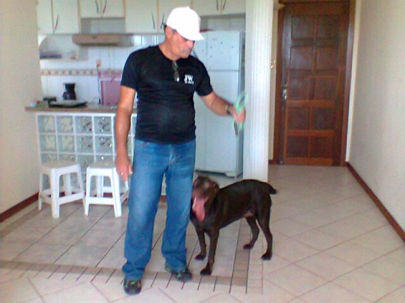 Centro  De Reabilitação  De Cães