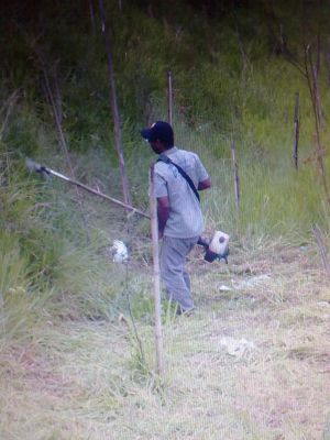 roçada de terreno -11 2303-5217 ,7303-3441