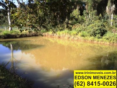 Chácara em Santa Maria no município de Trindade-GO cod.71