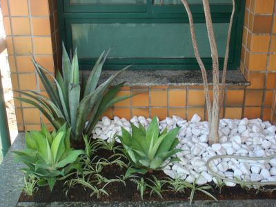 Paisagismo e Jardinagem 