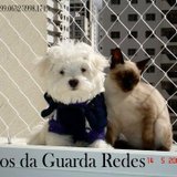 Redes e telas para Quadra Poliesportiva