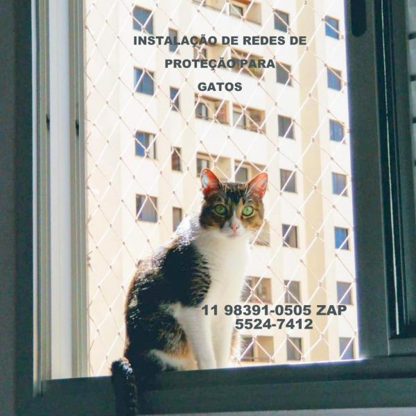 Telas de Proteção no Campo Grande, Rua Manuel Figueiredo Landim, (11) 98391-0505 zap 