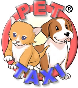 Pettaxi Transporte De Animais Domesticos - Taxi Dog