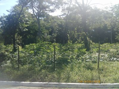 TOQUE TOQUE GRANDE 300 METROS DA PRAIA 