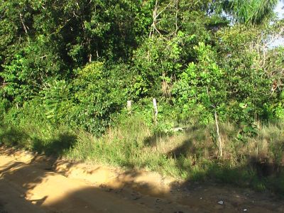 VENDO TERRENO NO TARUMÃ