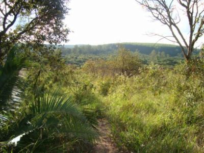 AREA RURAL EM BOFETE-SP