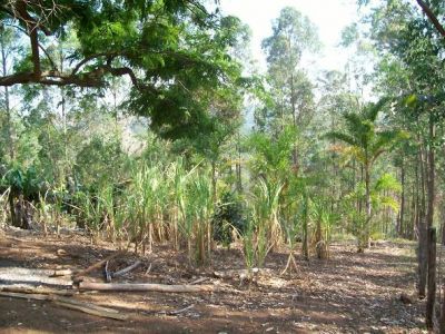 BELÍSSIMO SÍTIO PRÓXIMO AO CENTRO DA ESTÂNCIA HIDROMINERAL DE MONTE ALEGRE DO SUL