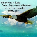 Sobrado, em bairro tranquilo, area gourmet, frente p. area verde