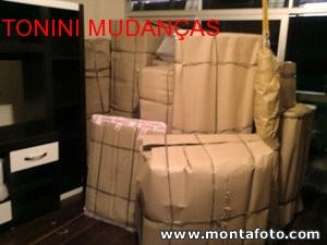 TRANSPORTADORA TONINI MUDANCAS E GUARDA-MÓVEIS
