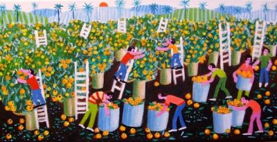 ARACY TEMA COLHEITA DE LARANJA MEDIDA 20X40 A VENDA COM AJUR SP 