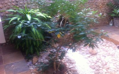 Ótima Casa em Neópolis