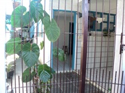 3 Casas no Litoral Norte de SP por 185 mil !!!