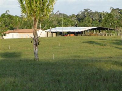 900 HECTARES NO SUL DA BAHIA BOA PARA CAFÉ CACAU SERINGA E GADO.