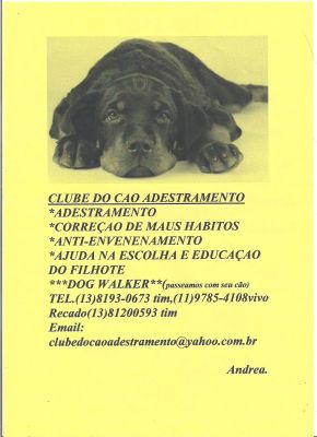 clube do cao adestramento