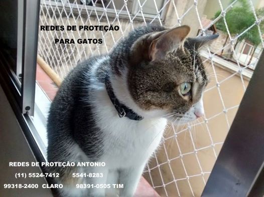 Lapa, Redes de Proteção na Lapa, Rua Croata, (11) 98391-0505