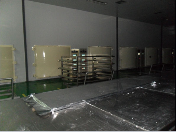 Vacuum Sealing Machine for VIP