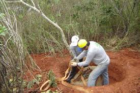 Limpeza de terreno corte e poda de arvores 