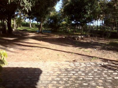 TERRENO BARATO A VENDA EM CORURIPE