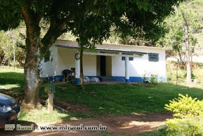 Sítio Produtivo Laticínio 3,5 alq. R$ 470 mil set.11	