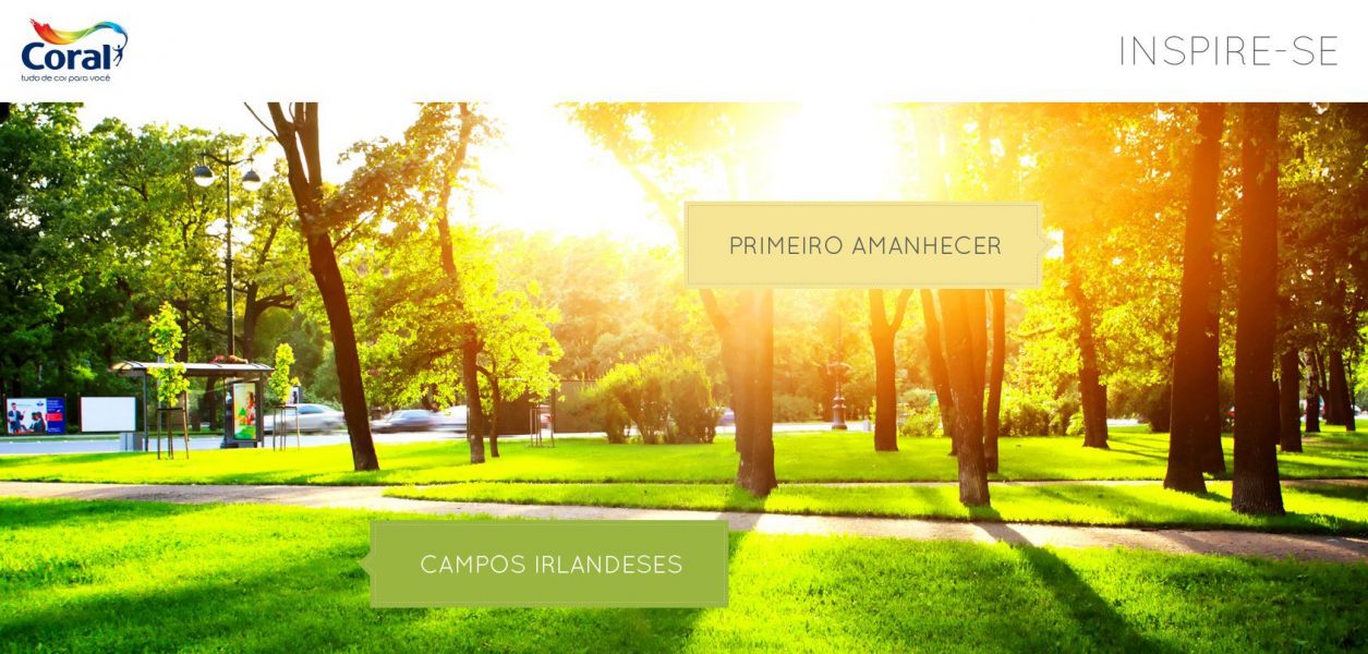 PINTOR  