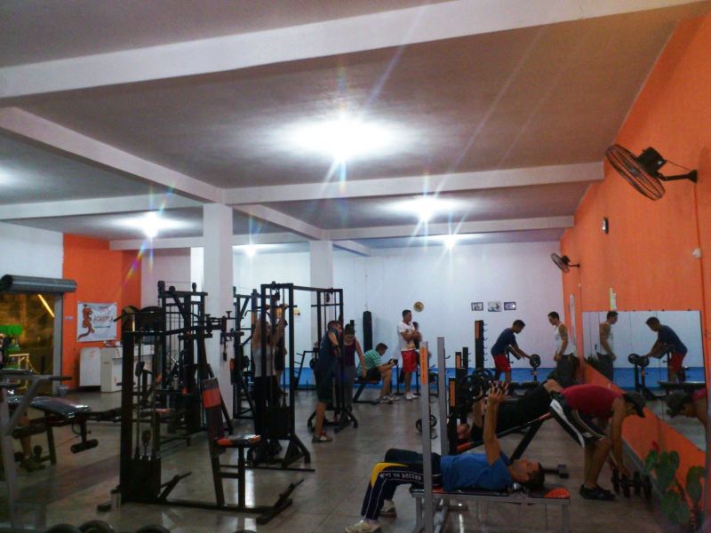 Tiger Academia Perus