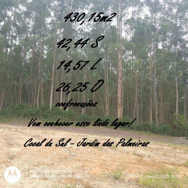 Loteamento Lúcia Giassi Cocal do Sul Jardim das Palmeiras