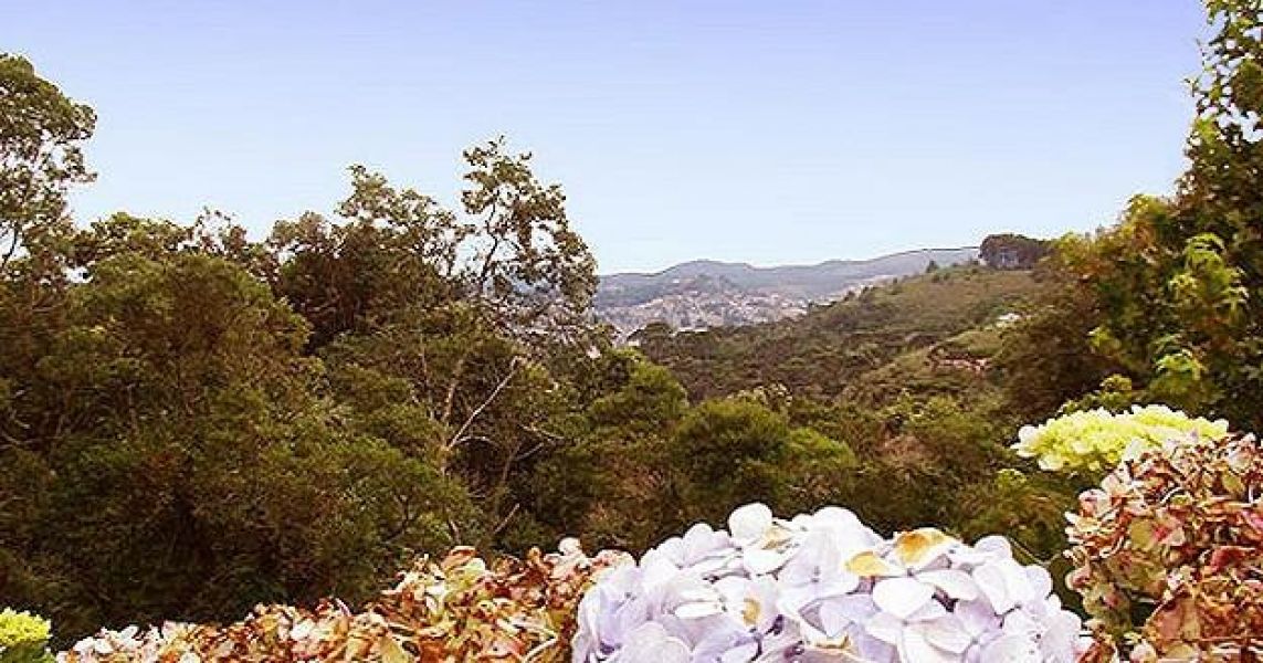 Casa em Campos do Jordão na Vila Natal