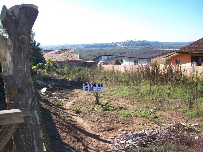 São Mateus do Sul-Pr - Otimo Terreno, alto e seco