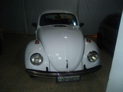 Fusca 1979 1300 